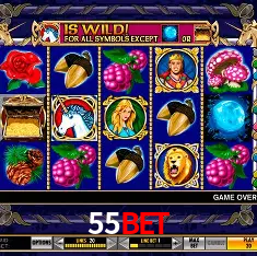 55bet Rio de Janeiro - Bonus Terms